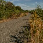 Schotterweg in die Wildnis