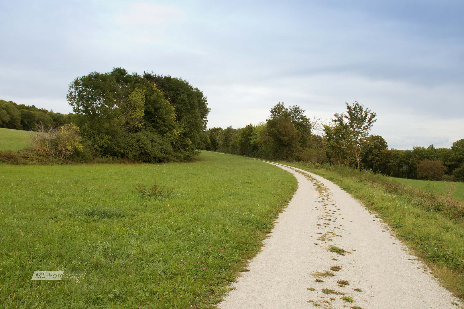 Schotterweg ins Grüne