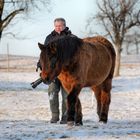 Schotti the horse whisperer...