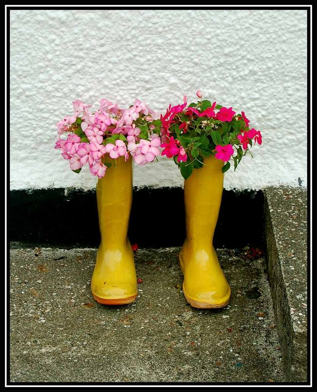 Schottische-Blumen-Stiefel