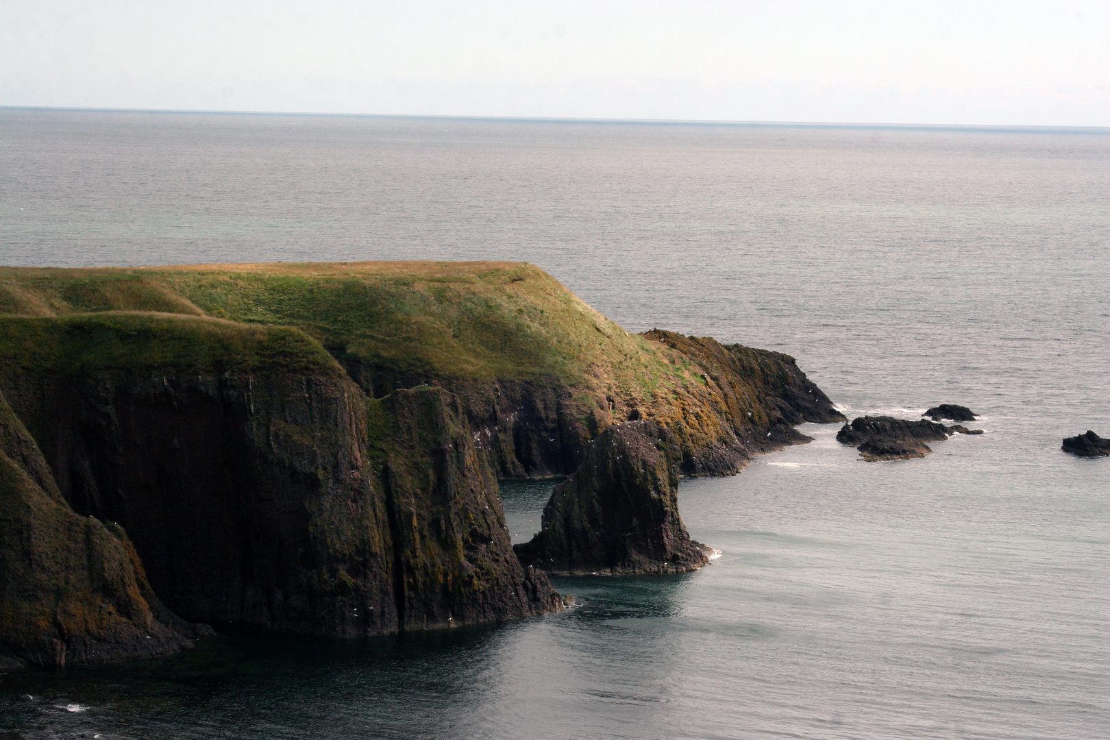 Schottische Küste bei Stonehaven