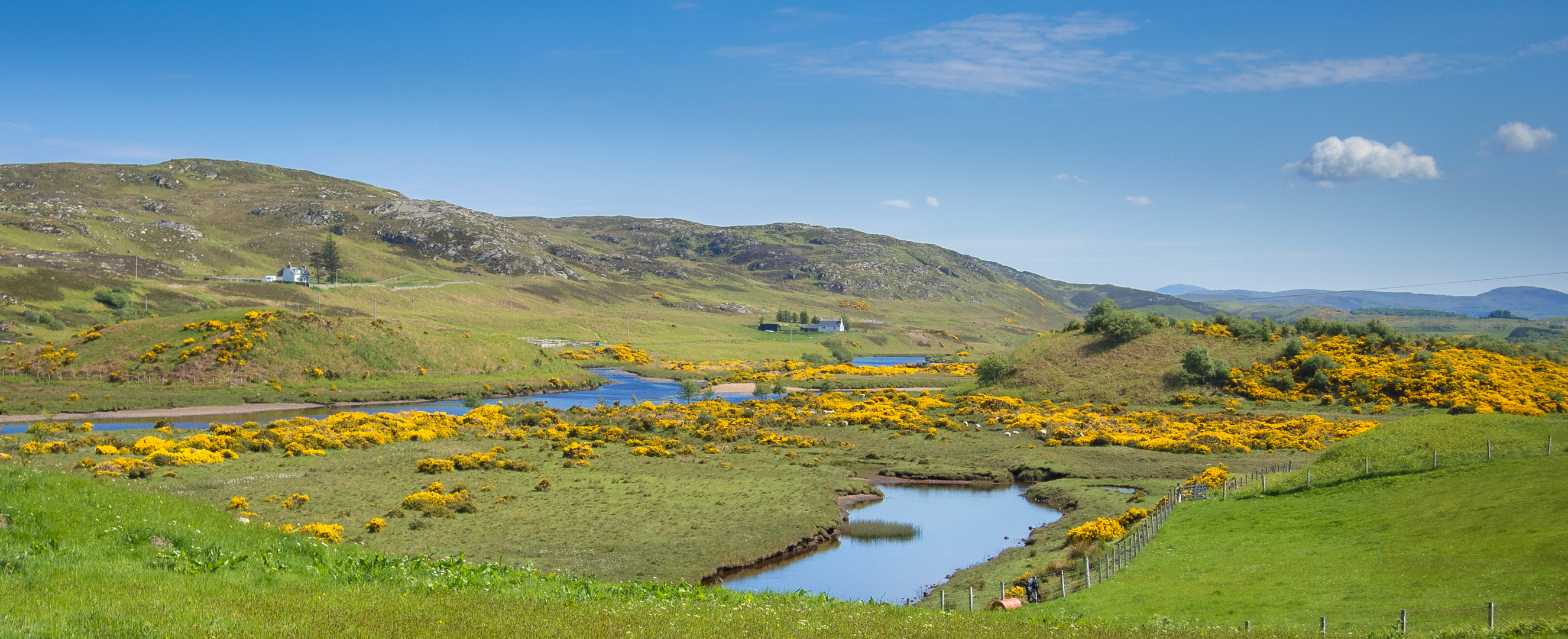 Schottische Moorlandschaft