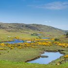 Schottische Moorlandschaft