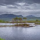 Schottische Wetterlage am Loch Assynt