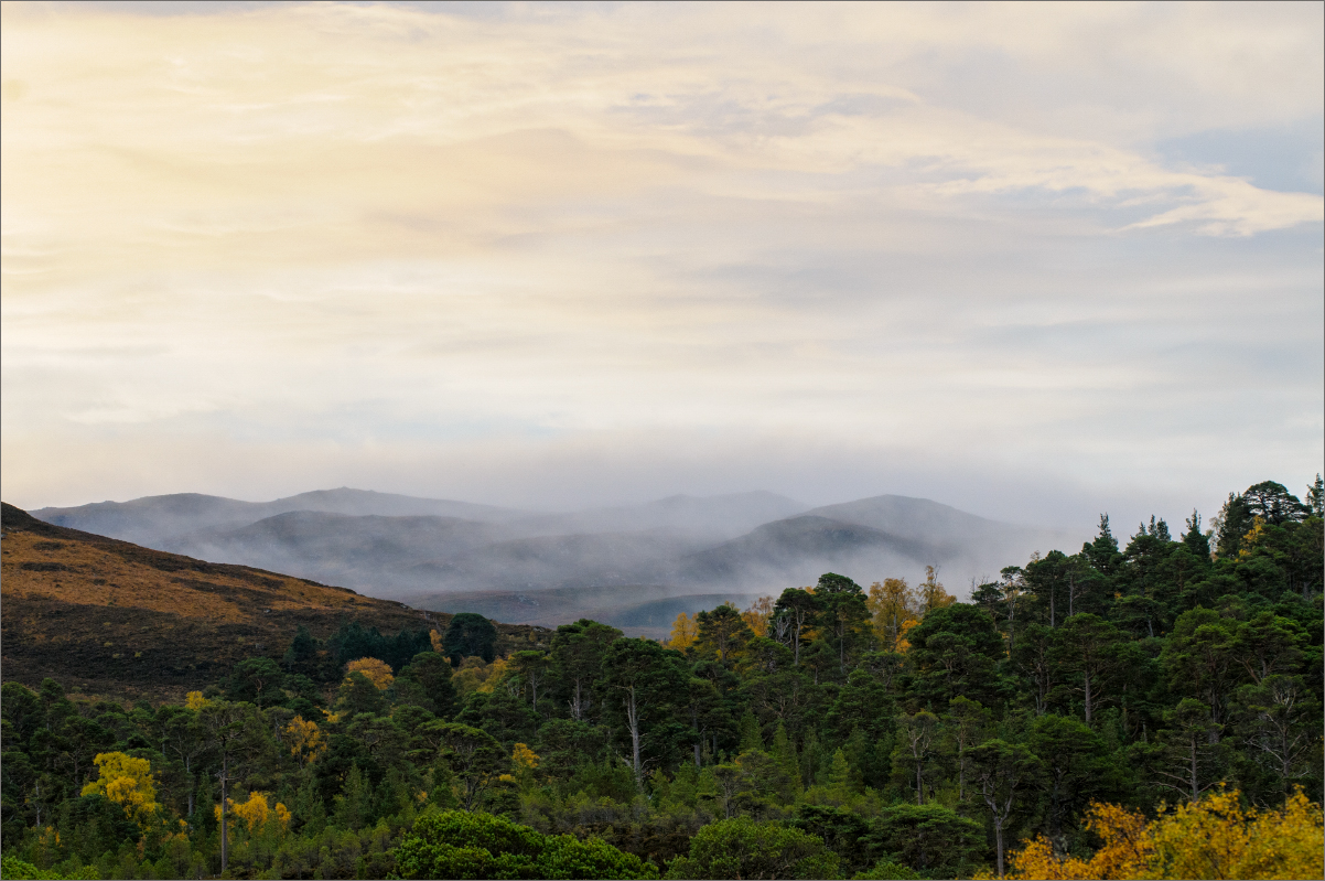 Schottischer Herbst