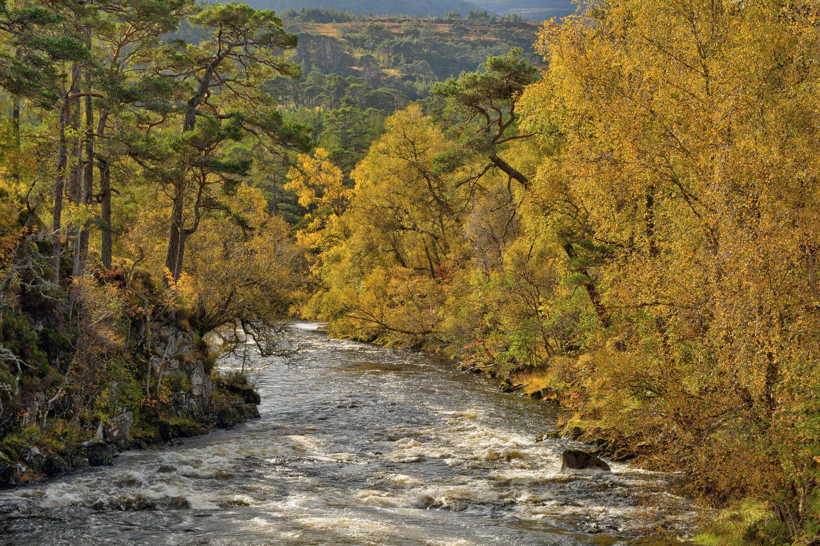 Schottischer Herbst