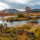 Schottischer Herbst