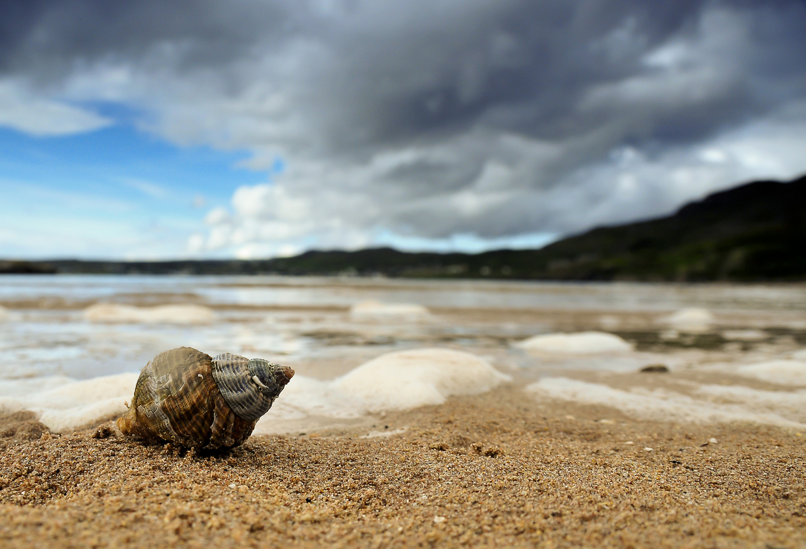 schottischer Strand