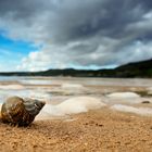 schottischer Strand