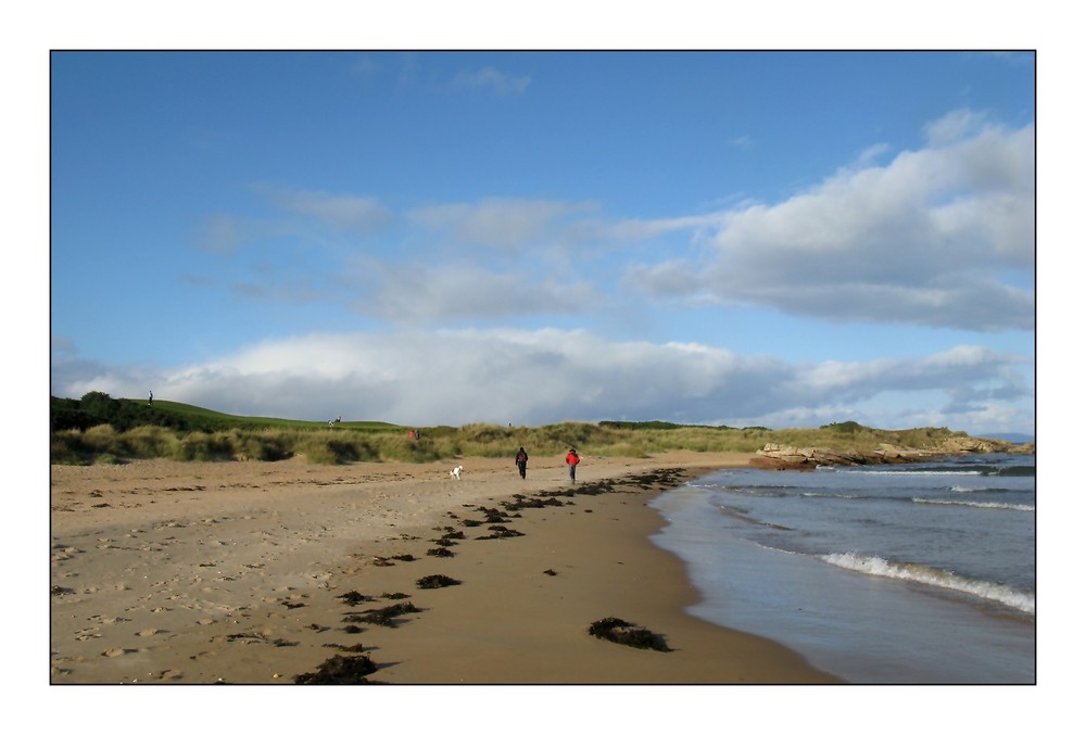 schottischer Strand & Golflandschaft (Dornoch)