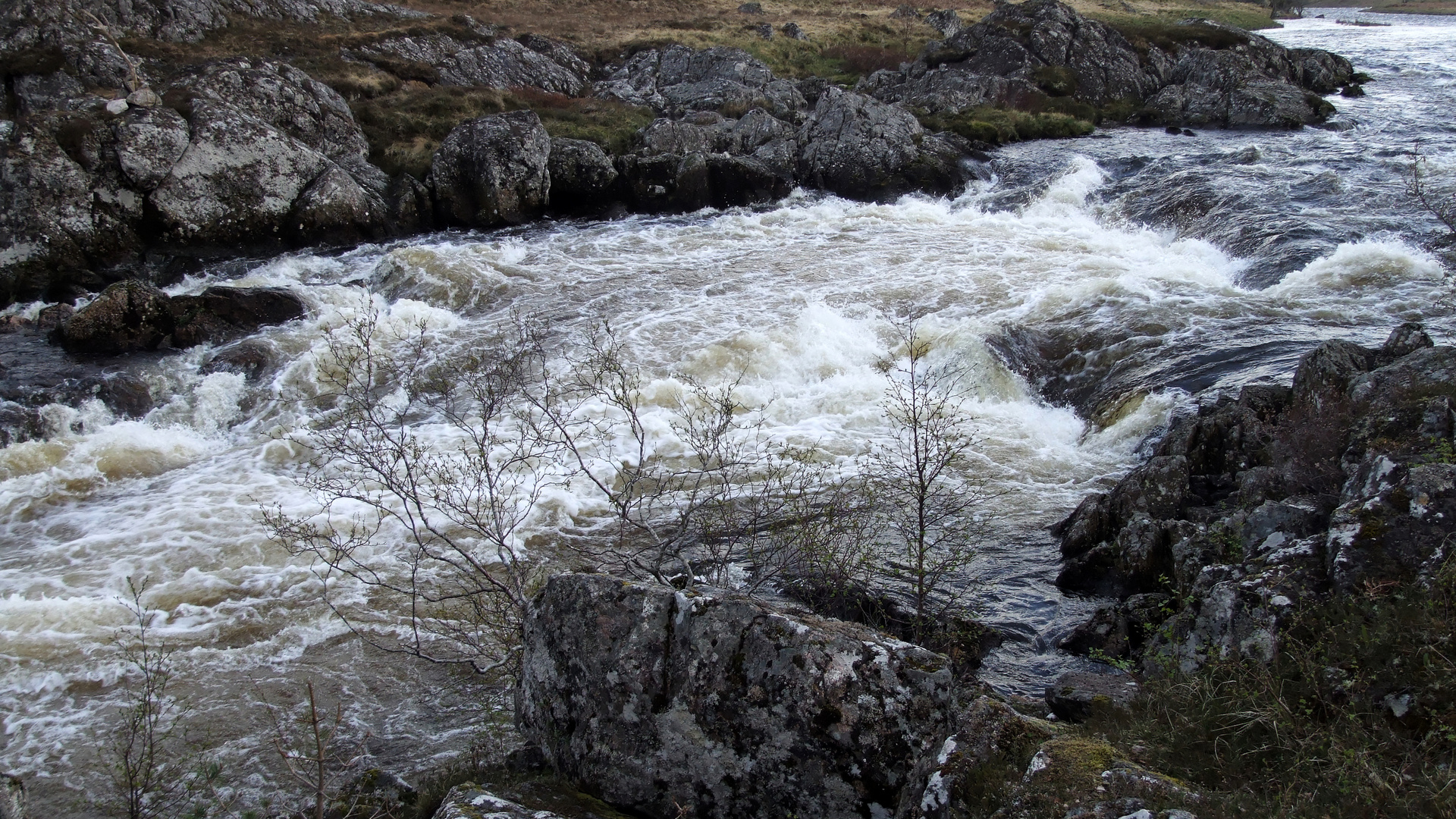 Schottischer Wildbach 2