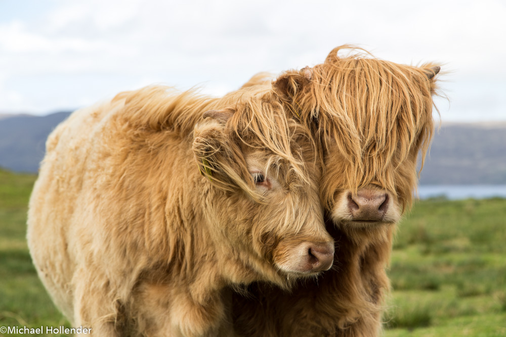 Schottland 2017 Geschwister