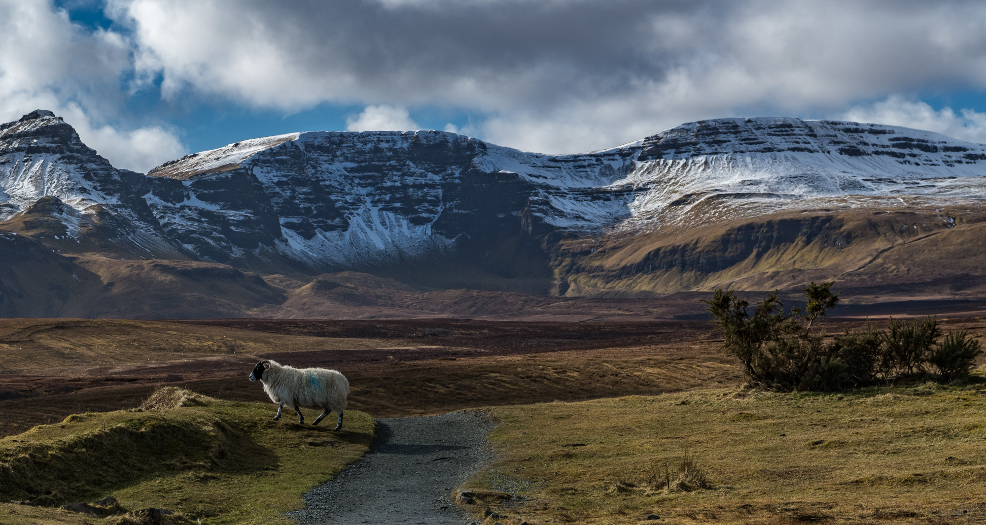 Schottland 2018 (7)