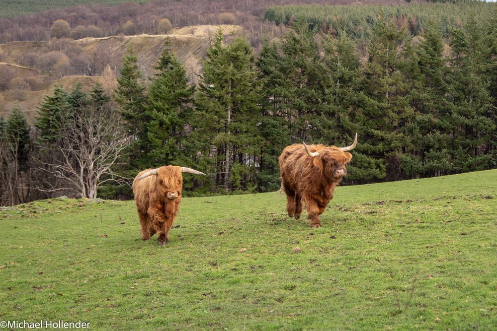 Schottland 2019