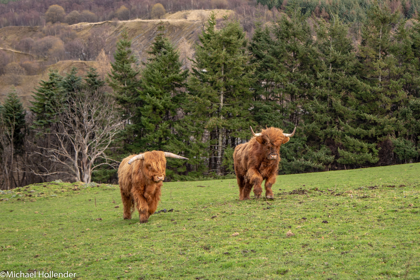 Schottland 2019