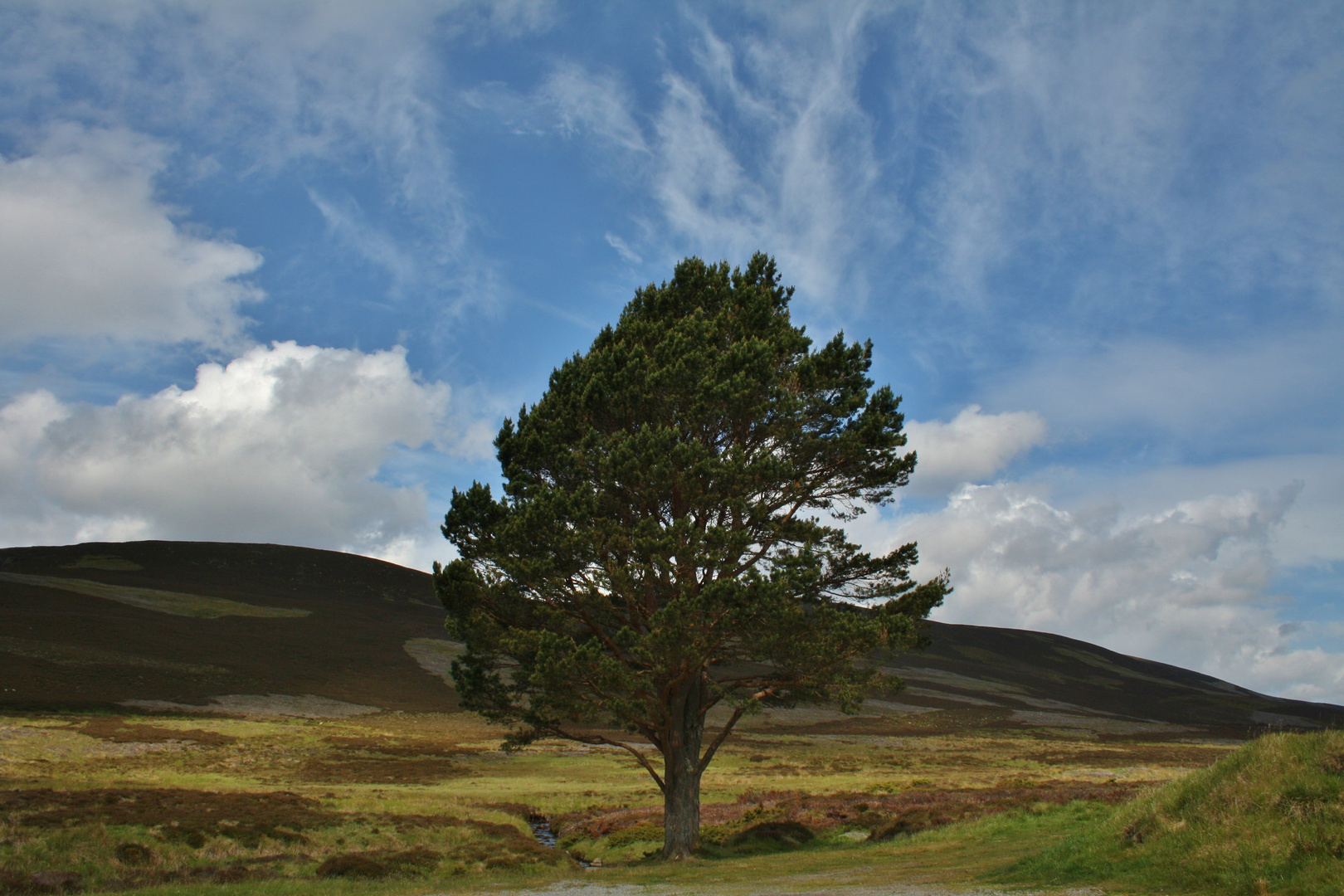 Schottland