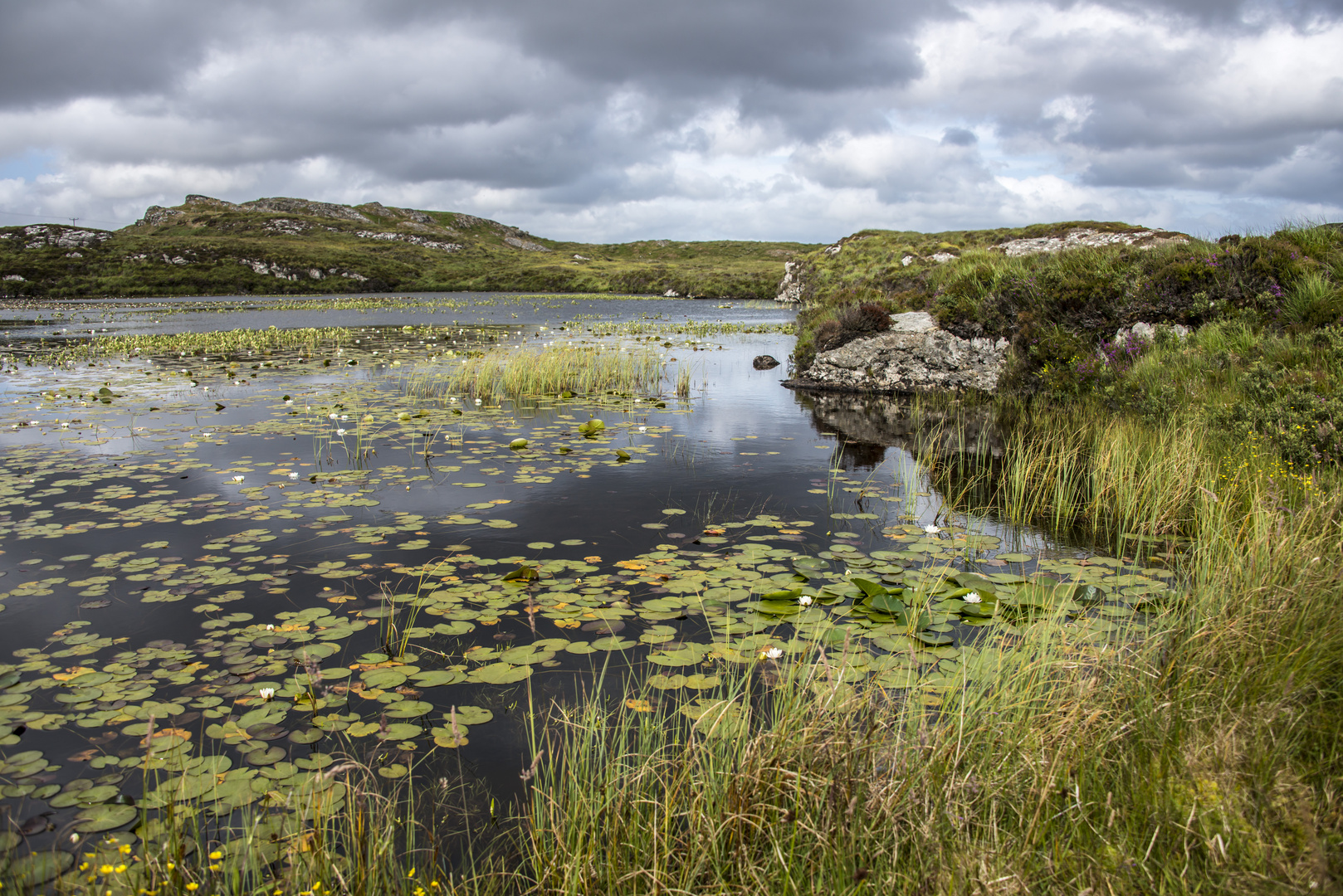 Schottland