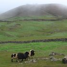 Schottland auf den Kanaren