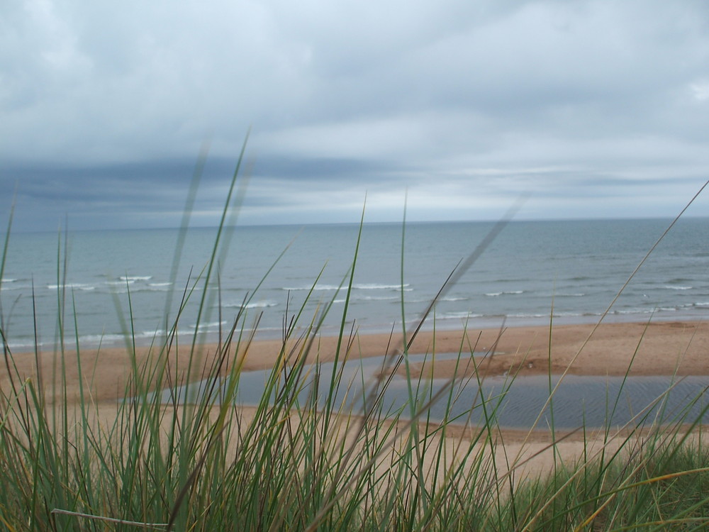 Schottland - Balmedie Beach 1