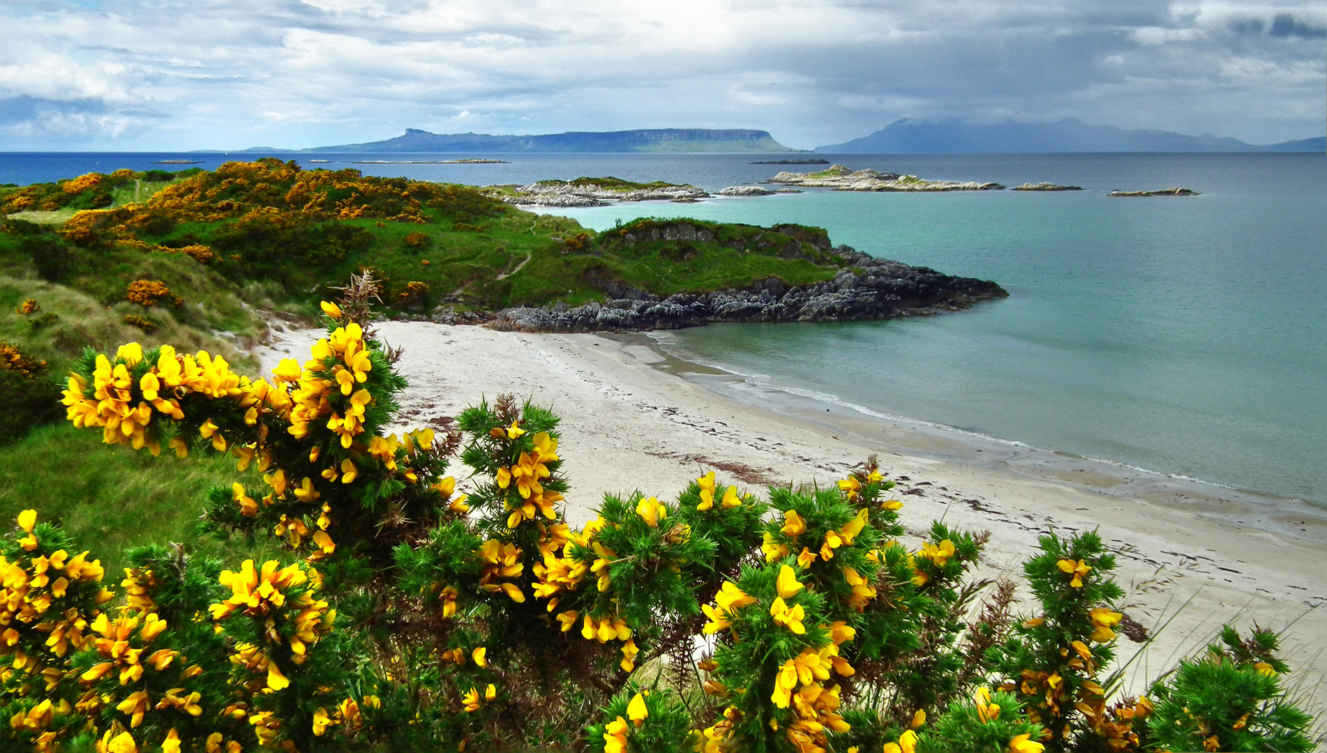 Schottland blüht auf