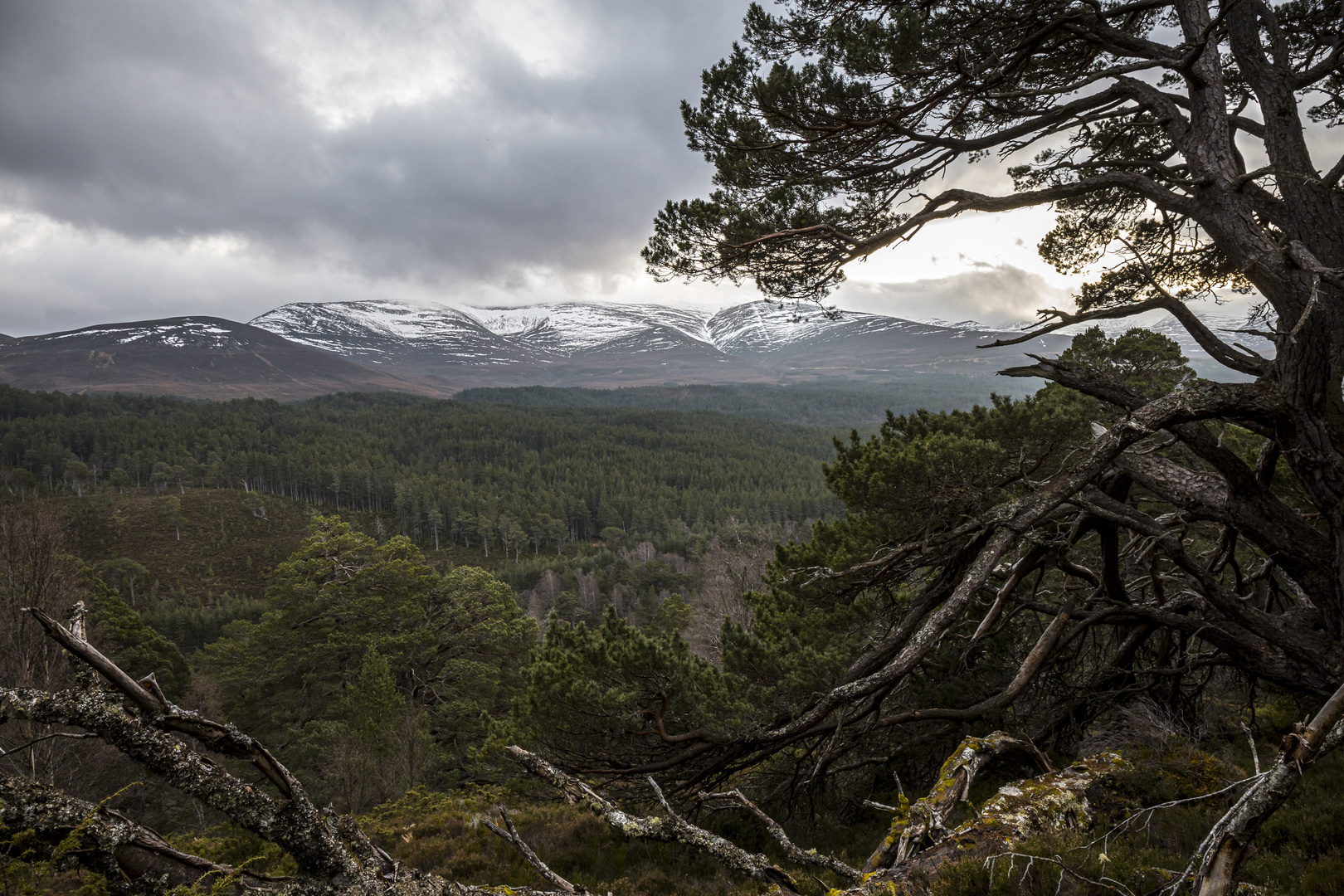 Schottland Cairngorms