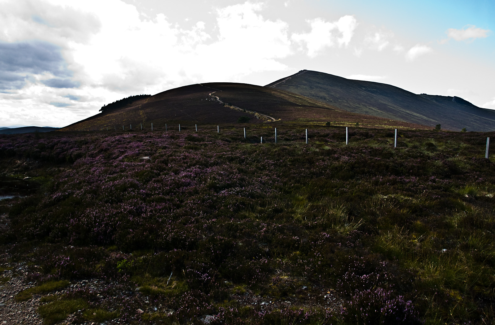 Schottland CV - Speyside