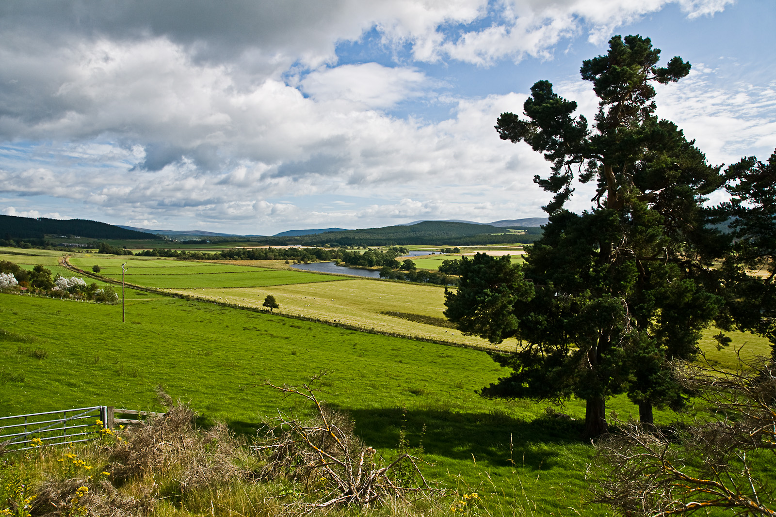 Schottland CXI - Speyside