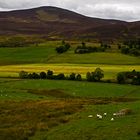 Schottland CXX - Blair Castle