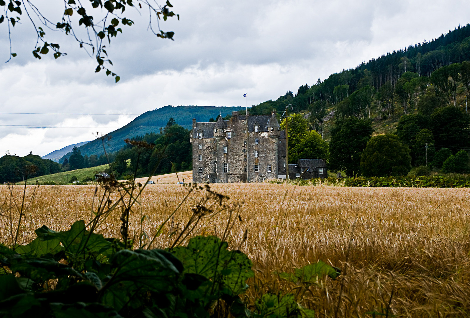 Schottland CXXII - Loch Tummel