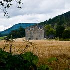 Schottland CXXII - Loch Tummel