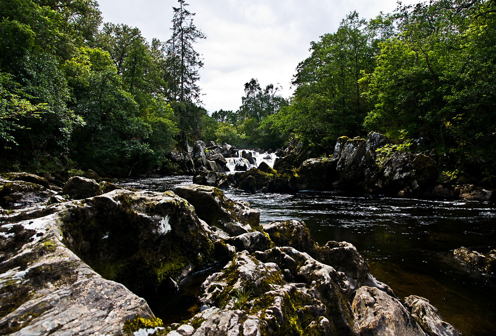 Schottland CXXIV - Pitlochry