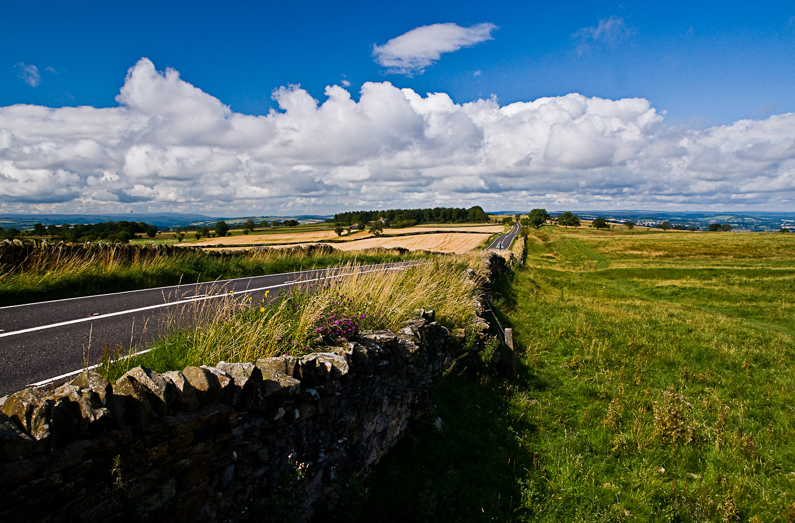 Schottland CXXVII - Hexham