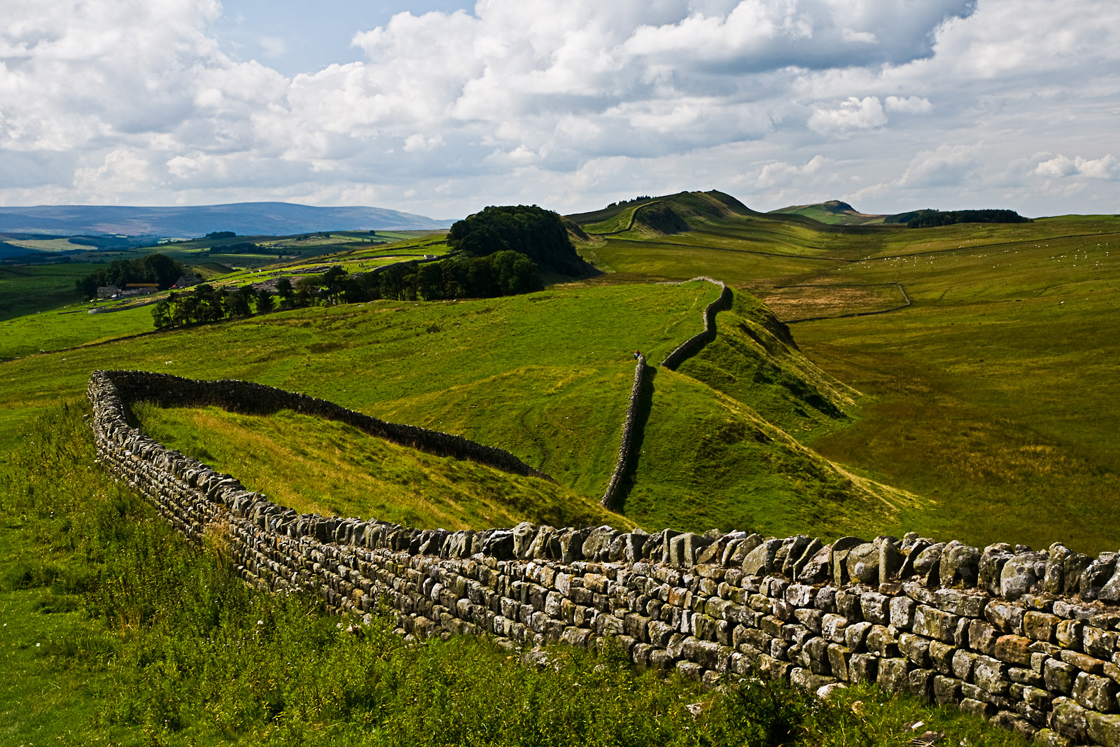 Schottland CXXXIII - Hexham