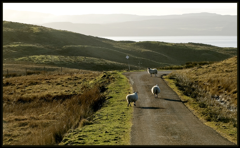 Schottland - eine Winterreise (19)