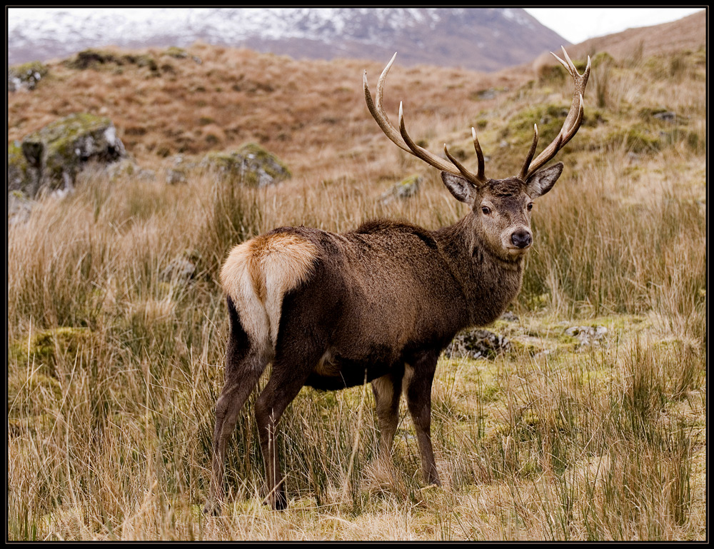 Schottland - eine Winterreise (42)