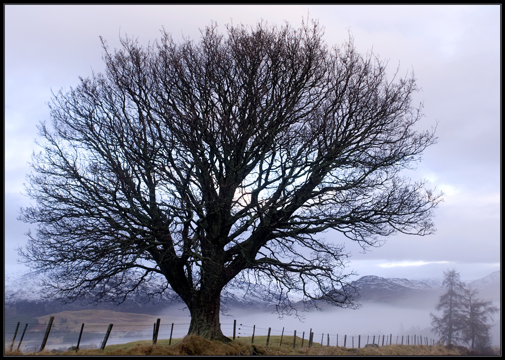 Schottland - eine Winterreise (45)