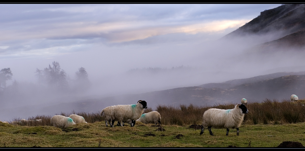 Schottland - eine Winterreise (50)