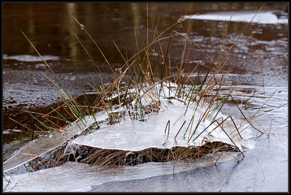 Schottland - eine Winterreise (61)