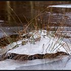 Schottland - eine Winterreise (61)