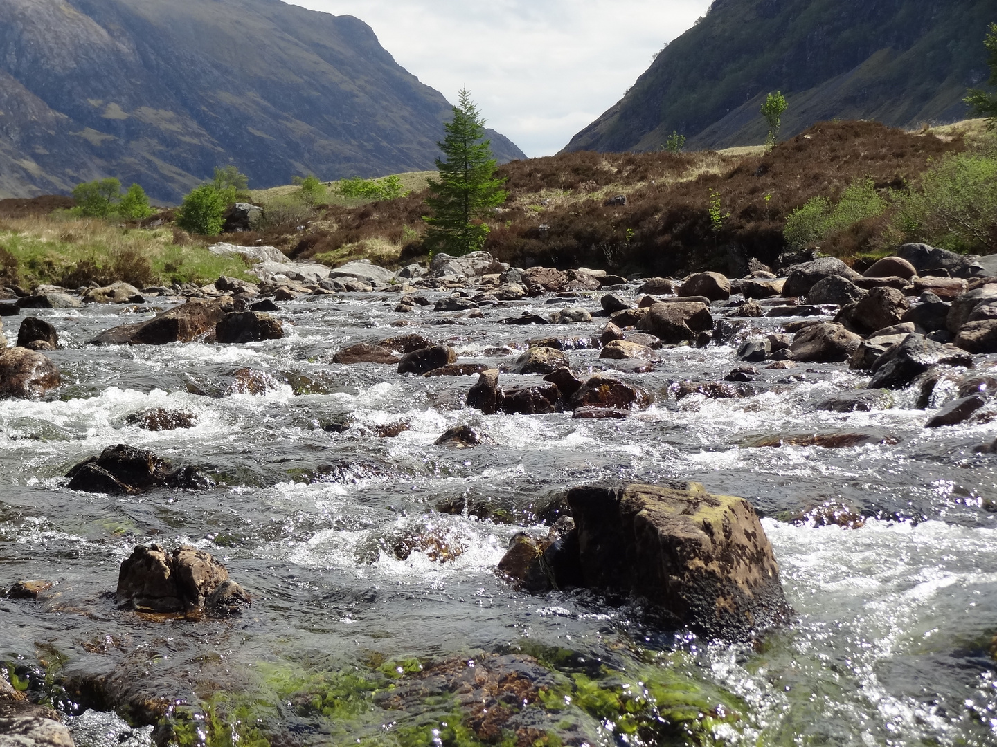 Schottland - Glencoe 1