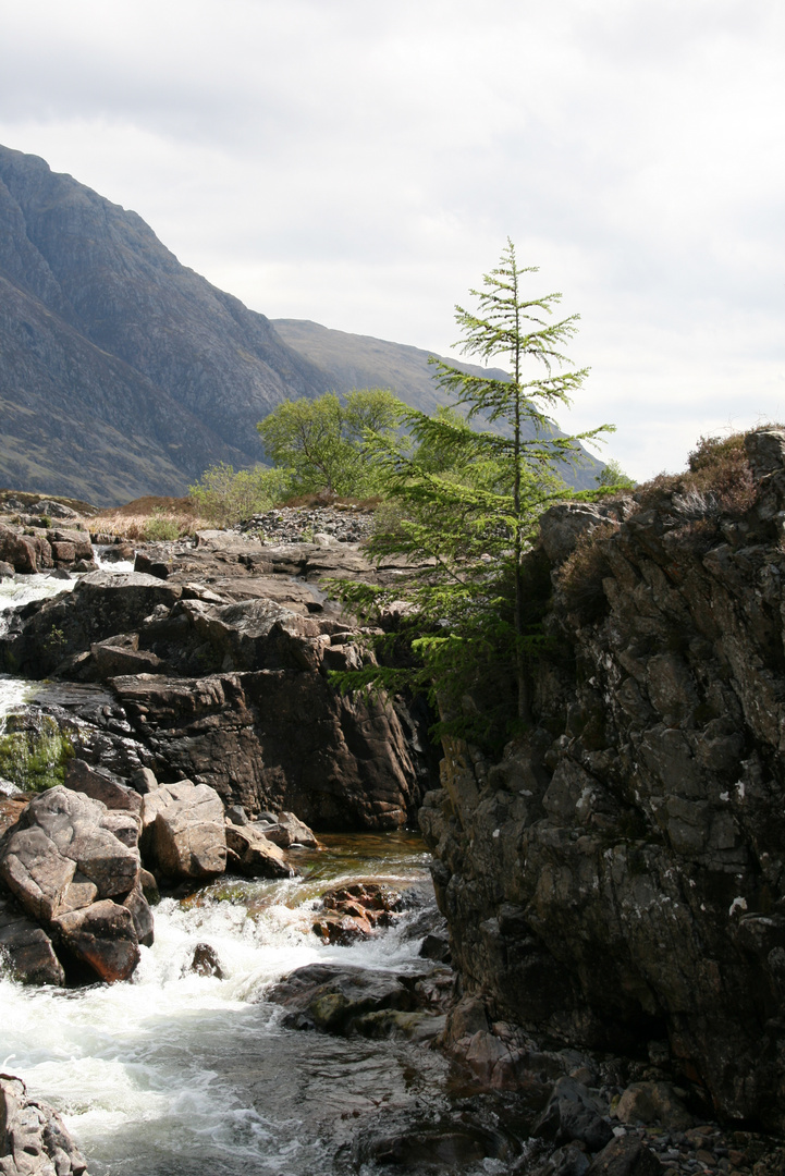 Schottland - Glencoe 2