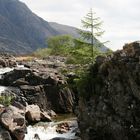 Schottland - Glencoe 2