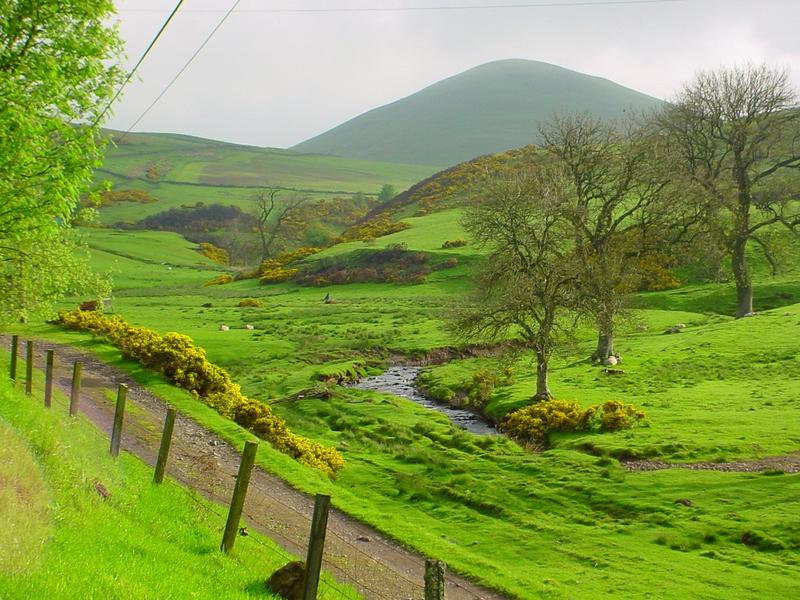 Schottland im Frühling