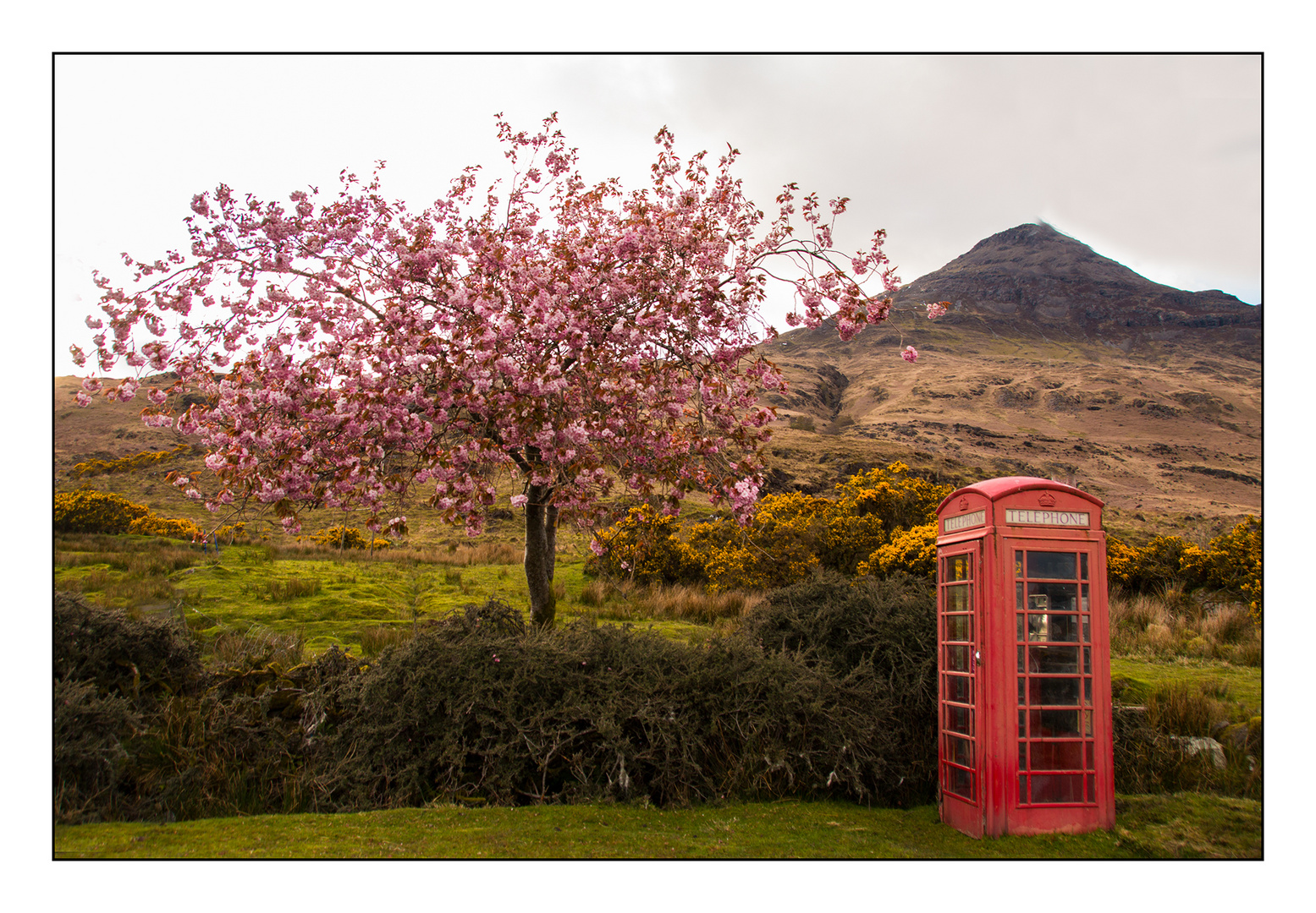 Schottland / Isle of Mull / Lochbuie