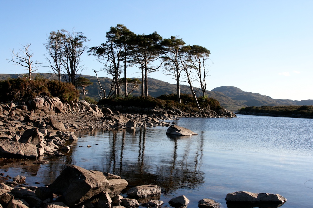 Schottland: Loch Assynt