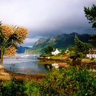 Schottland: Loch Carron bei Plockton
