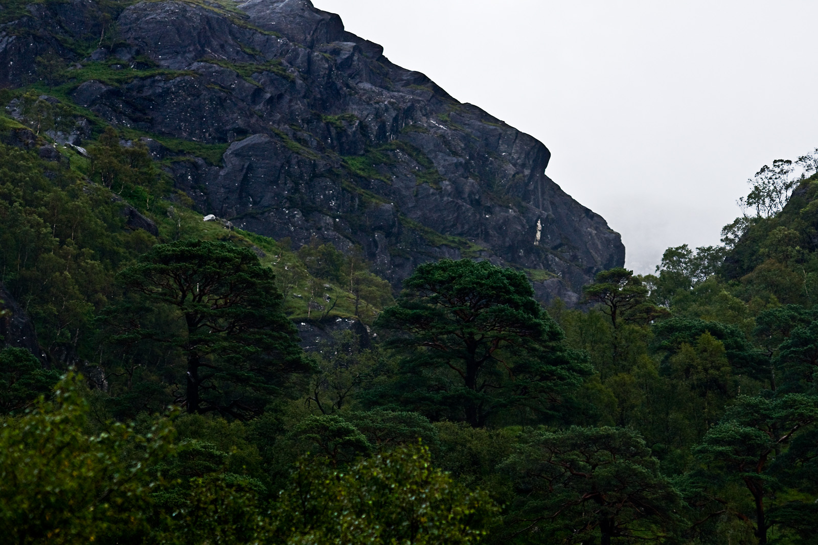 Schottland LV - Glen Nevis