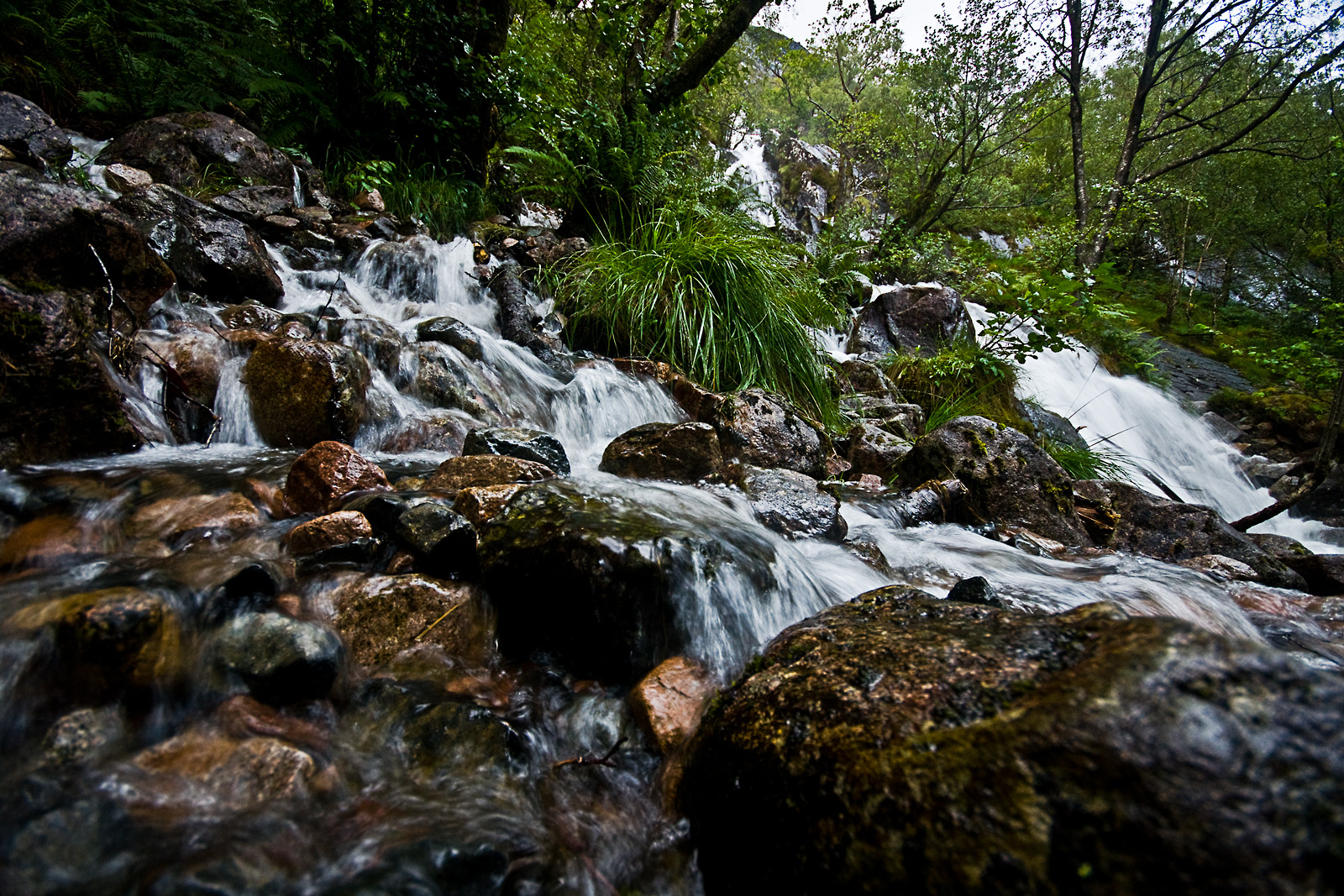 Schottland LVI - Glen Nevis