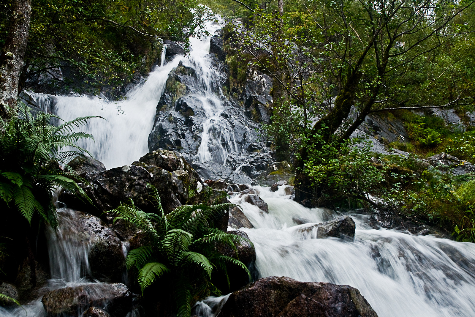 Schottland LVII - Glen Nevis