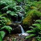 Schottland LVIII - Glen Nevis